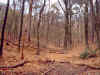 foto3.jpg (64282 bytes)