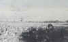 oorlog2.jpg (28157 bytes)
