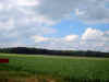 groesbeeknu11.jpg (28031 bytes)