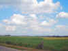 groesbeeknu13.jpg (31069 bytes)