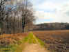 foto3.jpg (43787 bytes)