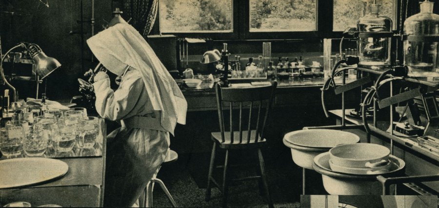 foto20.jpg (101729 bytes)