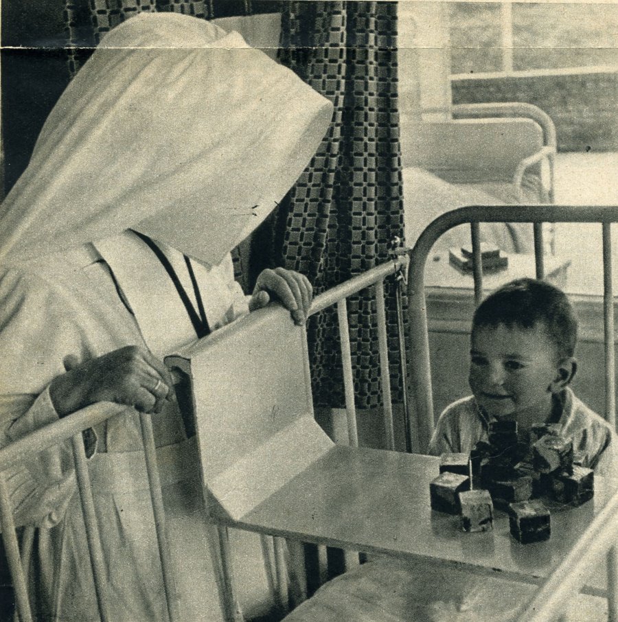 foto21.jpg (243427 bytes)