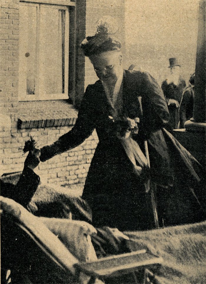 foto8.jpg (217101 bytes)