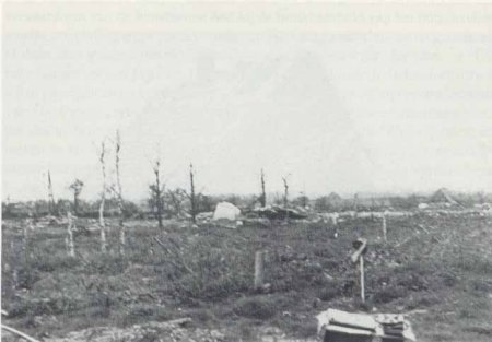 Klik om de foto te vergroten...