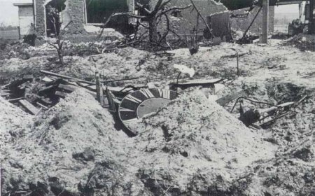 Klik om de foto te vergroten...