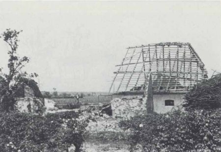 Klik om de foto te vergroten...