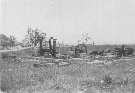 Klik om de foto te vergroten...