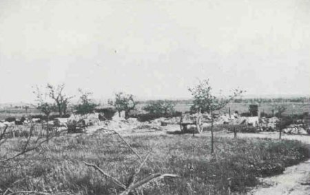 Klik om de foto te vergroten...