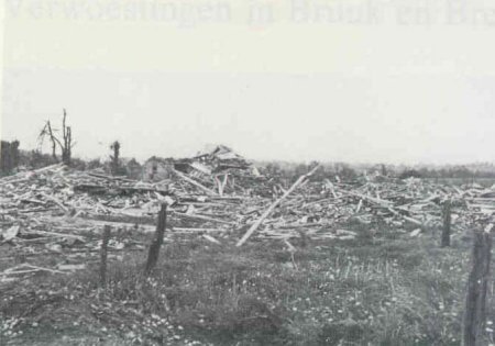 Klik om de foto te vergroten...