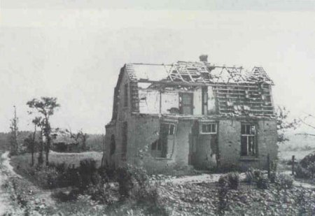 Klik om de foto te vergroten...