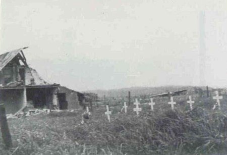 Klik om de foto te vergroten...